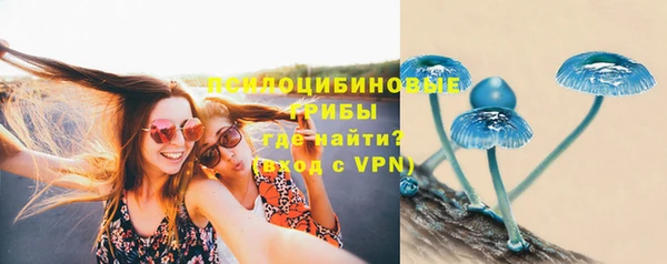 ГАЛЛЮЦИНОГЕННЫЕ ГРИБЫ Алзамай