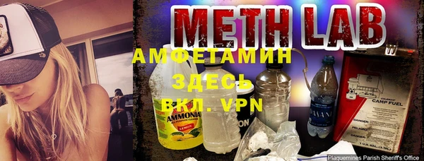 ГАЛЛЮЦИНОГЕННЫЕ ГРИБЫ Алзамай