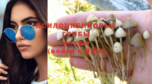 ГАЛЛЮЦИНОГЕННЫЕ ГРИБЫ Алзамай