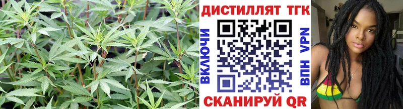 Дистиллят ТГК гашишное масло  Тулун 