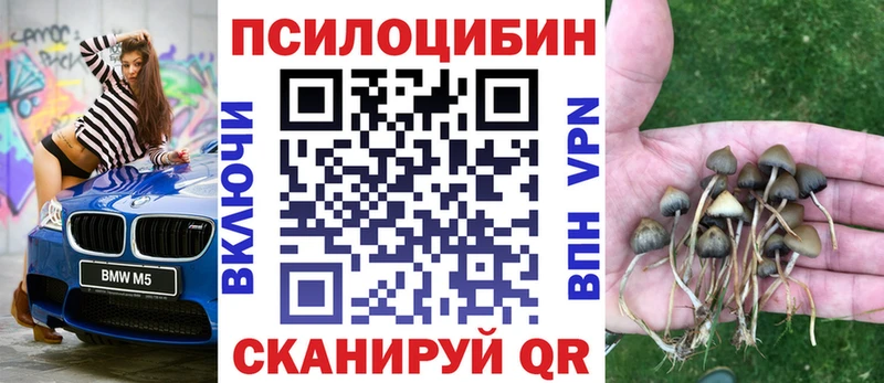 цены наркотик  площадка состав  MEGA ТОР  Галлюциногенные грибы мицелий  Тулун 